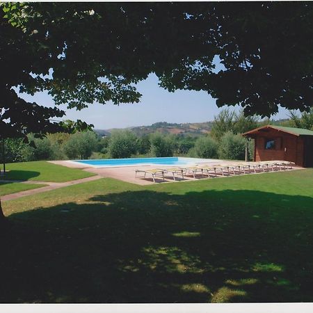 Agriturismo Calderino ฟาเอนซา ห้อง รูปภาพ