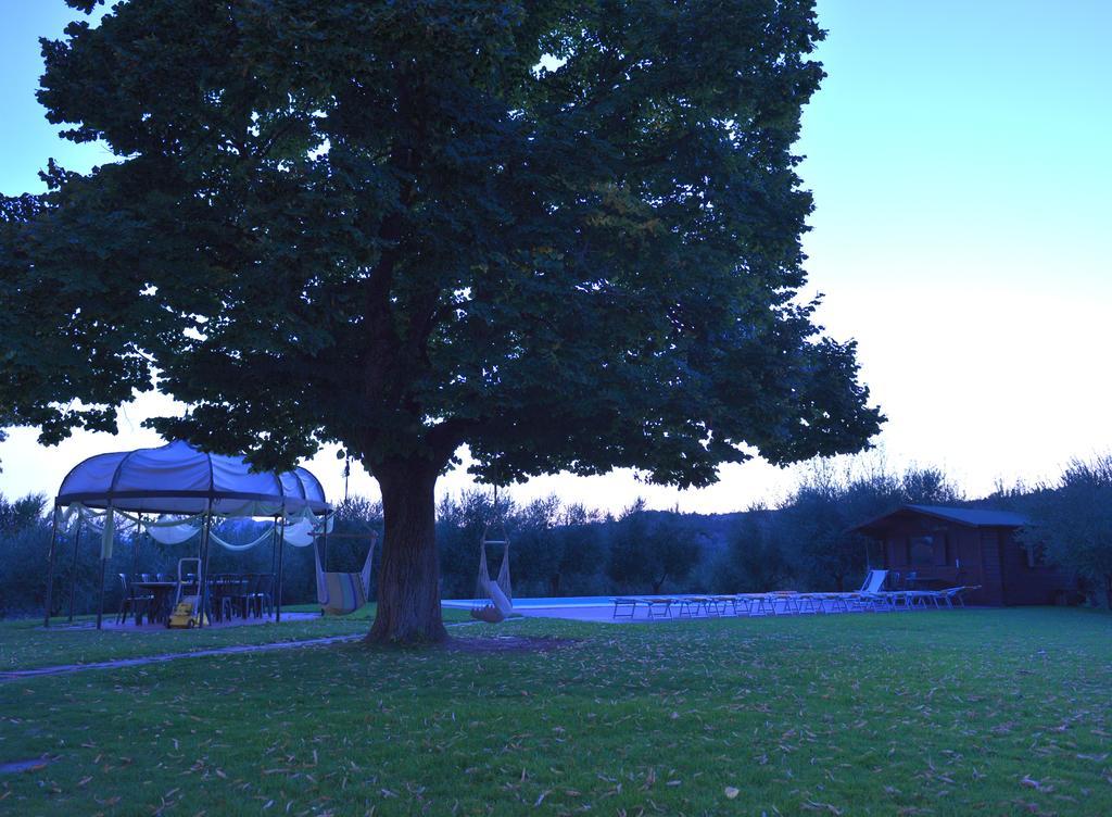 Agriturismo Calderino ฟาเอนซา ห้อง รูปภาพ